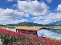 -腾冲北海湿地