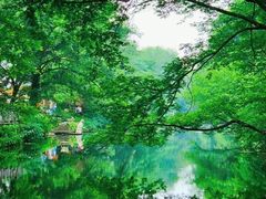 -西溪南古村落景区