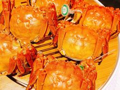 大闸蟹-西贝海鲜汇(槐安路店)
