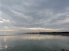 -贡湖湾湿地公园