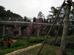 -狐尾山公园