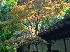 -复旦大学附属华山医院(总院)