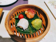 -点都德·毕德寮