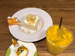 -柴务处·柴犬主题狗咖