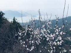 -北京十三陵国家森林公园蟒山景区