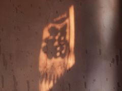 景观位-胖哥料理(兴义里店)