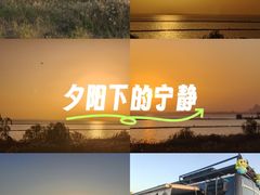 -合肥滨湖国家森林公园