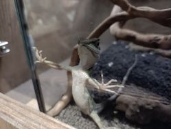 -Zoolung Zoolung动物主题公园(海信广场店)