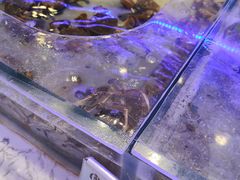 -澜悦港海鲜体验主题餐厅
