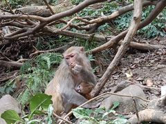 -黔灵山公园
