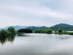 -鸣鹤古镇