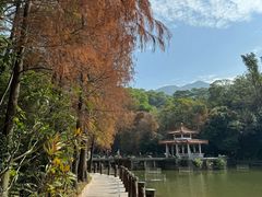 -深圳仙湖植物园