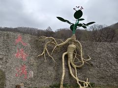 -丹东天桥沟景区