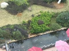 -韶关经律论国际酒店温泉