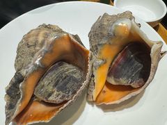 -77号渔船·蒸海鲜青岛菜(积米崖店)