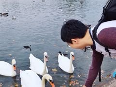 景点-海德公园