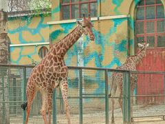 -泉州海丝野生动物世界