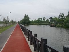 -上海长兴岛郊野公园