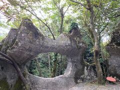 -山王坪喀斯特国家生态公园