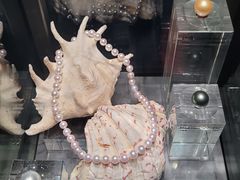 -中国地质博物馆