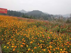 -龙头寺公园