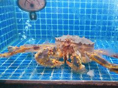 -徽三说·土徽菜·中国徽菜连锁品牌(一中店)