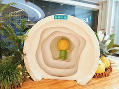 -春润大地海南椰子鸡(沙井京基百纳广场店)