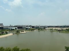 -东阿阿胶文化酒店