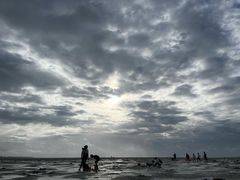 -红树林天天赶海