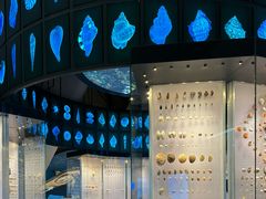 -抱抱地球咖啡馆(国家海洋博物馆店)