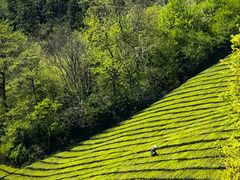 -敬亭山风景名胜区