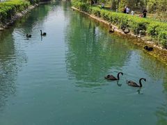 -长白岛森林公园