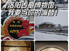 -洛阳古墓博物馆