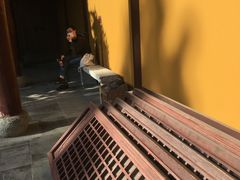 -龙华寺