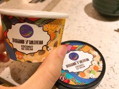 泰式香椰冰淇淋-润园四季椰子鸡火锅(海上世界店)