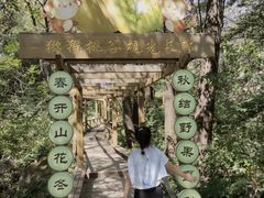 -大岭沟猕猴桃谷风景区