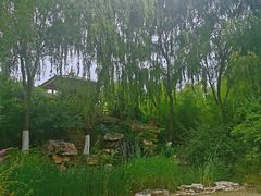 -济南植物园