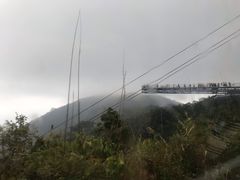 -呀诺达热带雨林