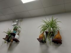 -沪依小酒馆心意菜