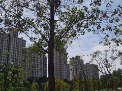 -昆山城市生态森林公园