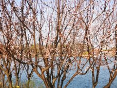-美兰湖景区