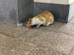 -京津佛罗伦萨小镇