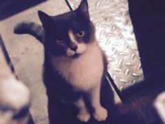 -MIKAKU(万达广场上海宝山店)