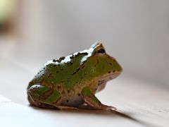 -三旗百汇商品城