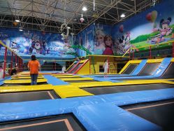 -爱丽丝奇幻乐园