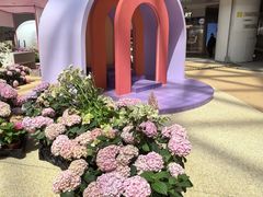 -上海长风大悦城