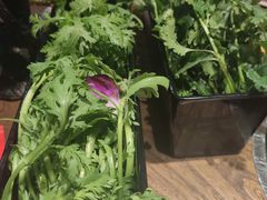 -刘一锅筋头巴脑(小北店)