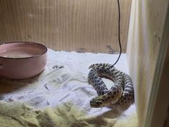 -藦茜花园宠物主题亲子互动体验馆(国顺东路店)