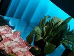 -东椰·海南椰子鸡火锅(朝阳门店)