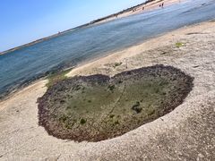 -日照灯塔风景区